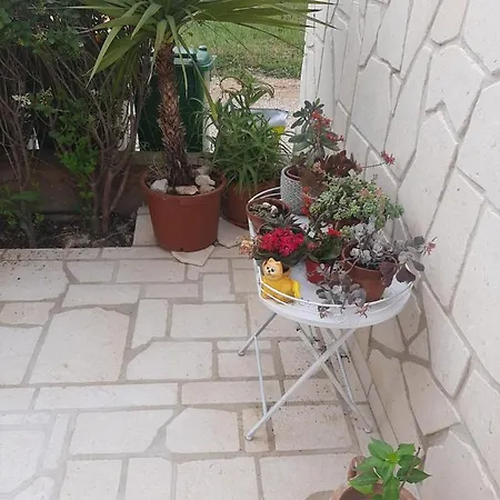 Emma * ביוגראד נה מורו