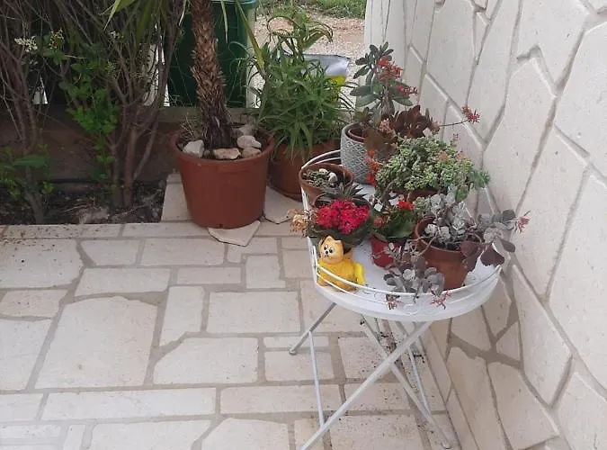 Emma * Biograd Na Moru