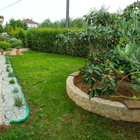 Emma Apartment Biograd Na Moru