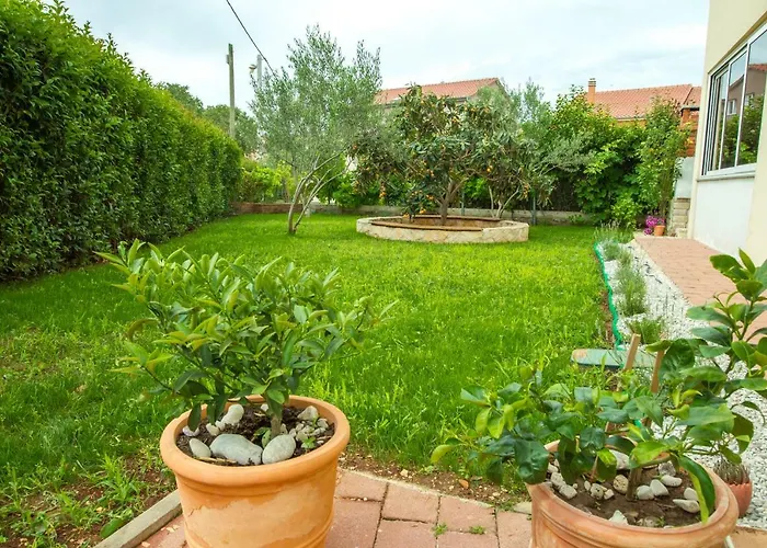 Emma ビオグラード・ナ・モル